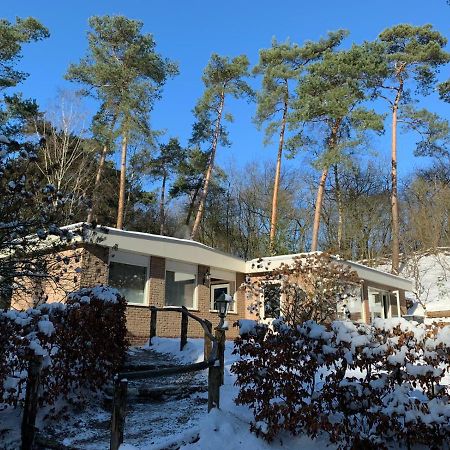 Het Fazantenbosje Villa Dalfsen Luaran gambar