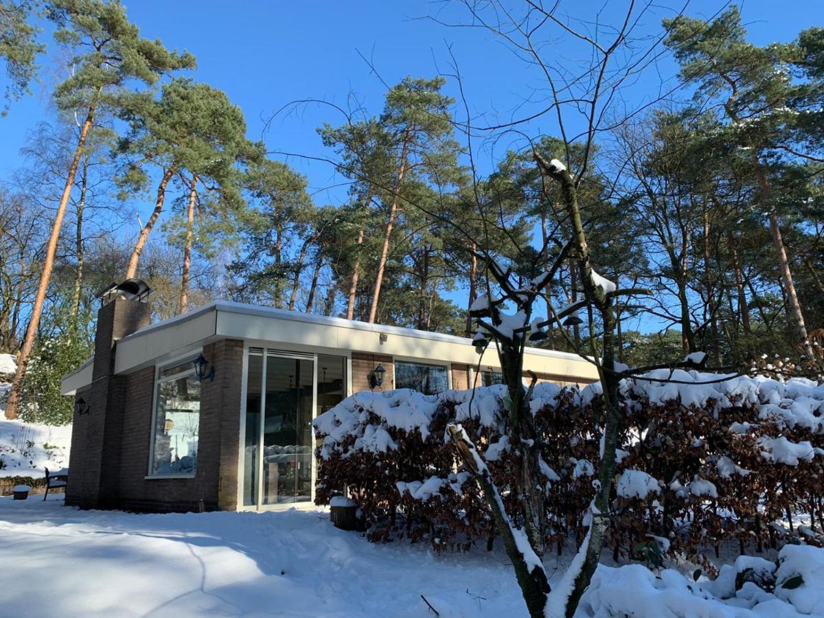 Het Fazantenbosje Villa Dalfsen Luaran gambar