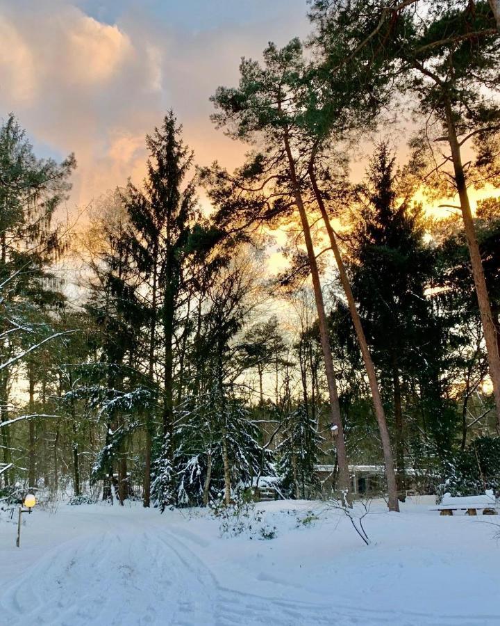 Het Fazantenbosje Villa Dalfsen Luaran gambar