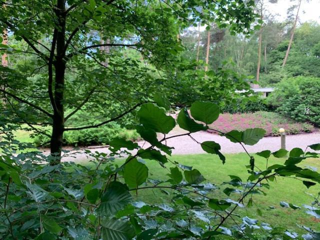 Het Fazantenbosje Villa Dalfsen Luaran gambar