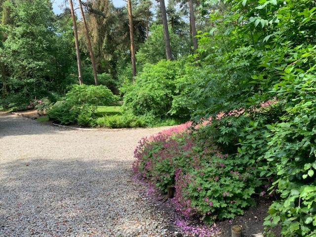 Het Fazantenbosje Villa Dalfsen Luaran gambar