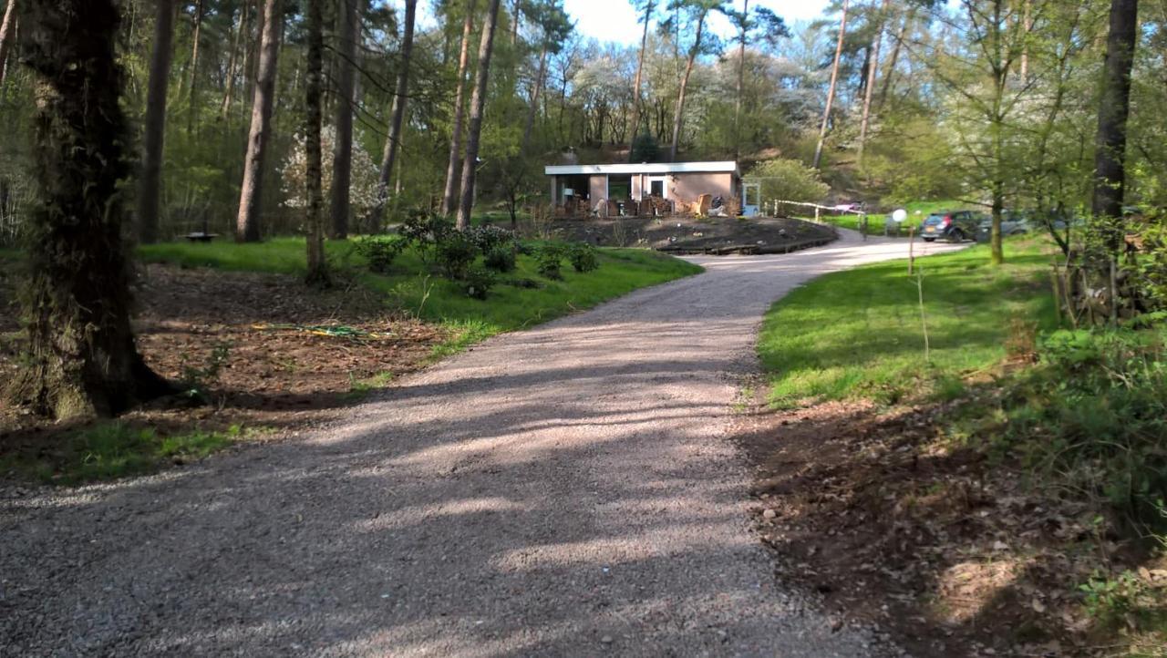 Het Fazantenbosje Villa Dalfsen Luaran gambar