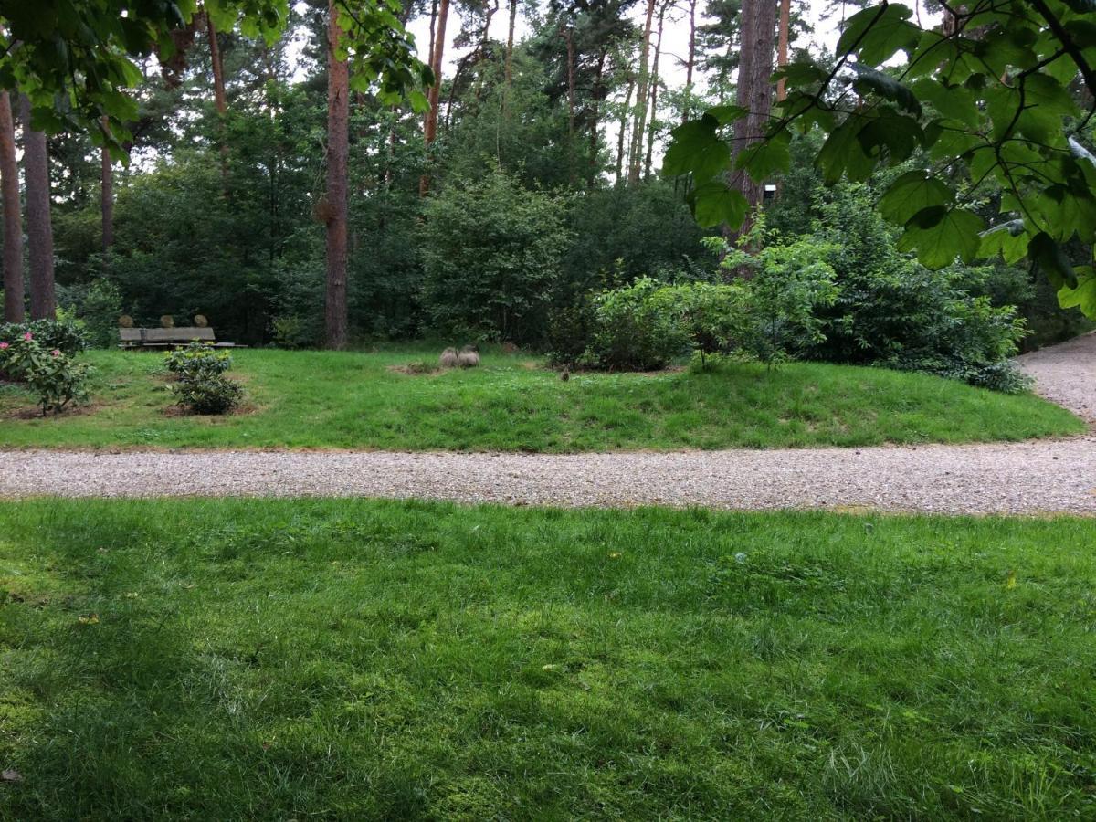 Het Fazantenbosje Villa Dalfsen Luaran gambar
